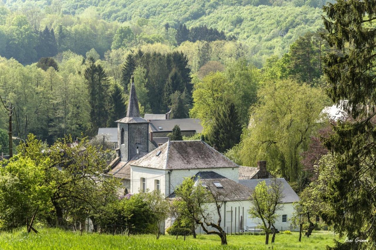 Gezellige Villa Met Open Haard En Zonnige Tuin. Doische Zewnętrze zdjęcie